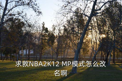 求救NBA2K12 MP模式怎么改名啊
