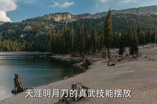 天涯明月刀的真武技能摆放