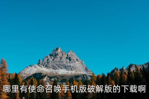 哪里有使命召唤手机版破解版的下载啊