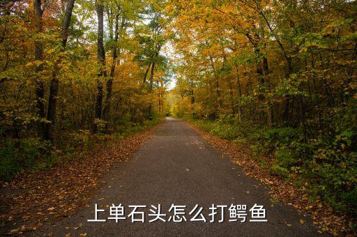 上单石头怎么打鳄鱼