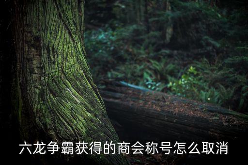 六龙争霸获得的商会称号怎么取消