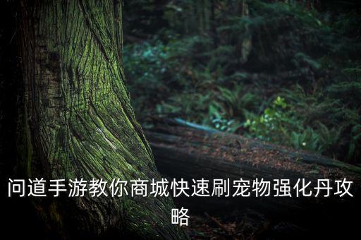 问道手游教你商城快速刷宠物强化丹攻略