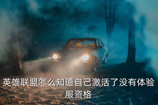 lol手游获得了资格怎么查看，英雄联盟击拳守卫领取资格怎么看