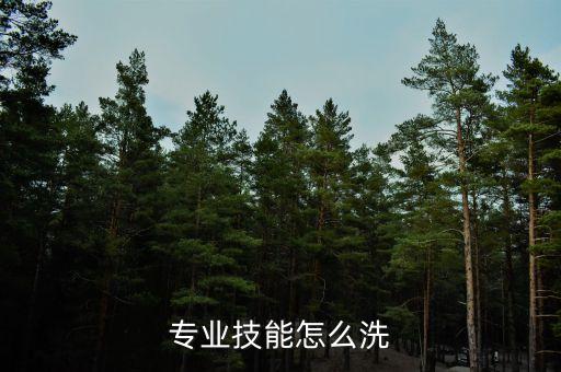 圣斗士手游技能怎么洗，怎么洗技能