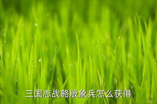 三国志战略版象兵怎么获得