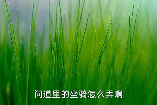 问道里的坐骑怎么弄啊