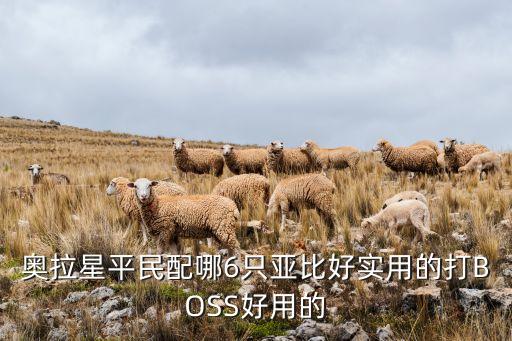奥拉星手游亚比怎么搭配，奥拉星亚比队伍求配