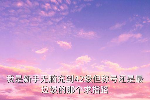 我是新手无脑充到42级但称号还是最垃圾的那个求指路