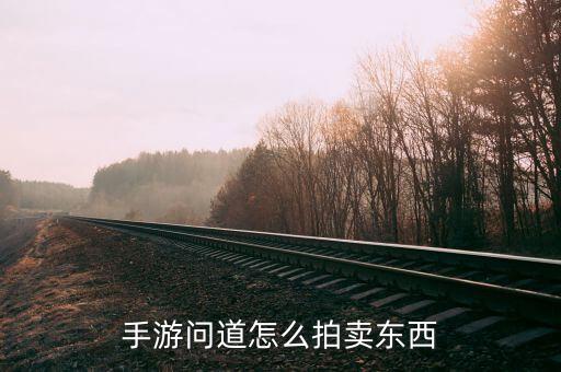 问道手游极品装备怎么卖，游戏里打到了一个极品装备想卖掉可是不知道去哪里卖有没有什
