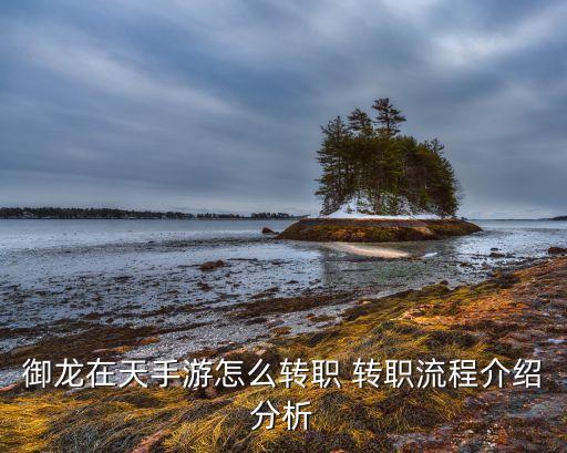御龙在天手游四转怎么过，阿修罗转职第4怎么做