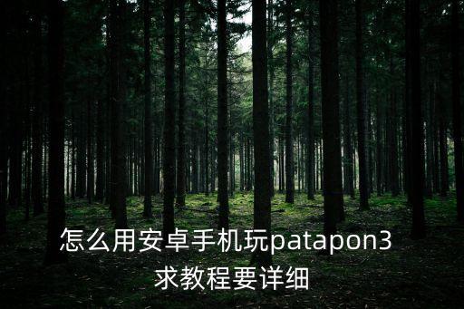 怎么用安卓手机玩patapon3 求教程要详细