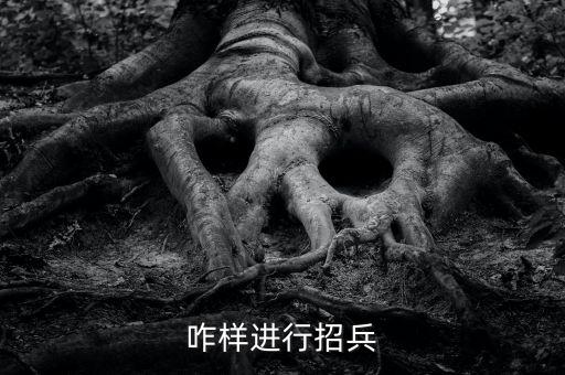 咋样进行招兵