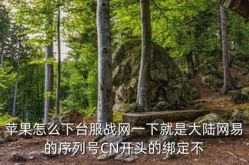 苹果怎么下台服战网一下就是大陆网易的序列号CN开头的绑定不