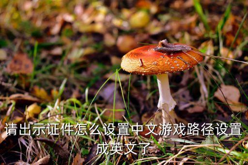 请出示证件怎么设置中文游戏路径设置成英文了