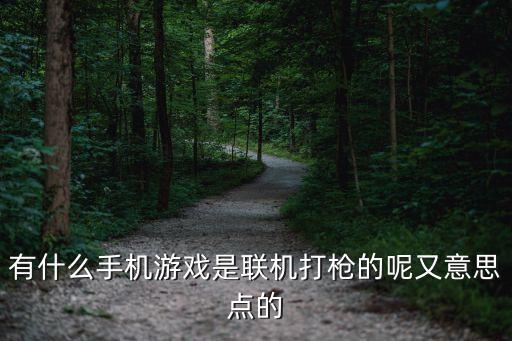 有什么手机游戏是联机打枪的呢又意思点的