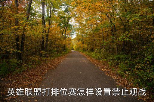 英雄联盟打排位赛怎样设置禁止观战