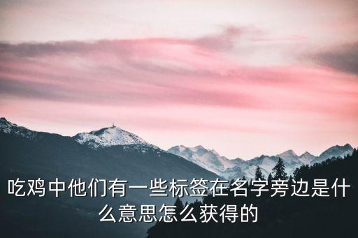 吃鸡中他们有一些标签在名字旁边是什么意思怎么获得的