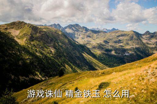 游戏诛仙 精金铁玉 怎么用