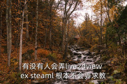 有没有人会弄live2dview ex steaml 根本不会弄求教