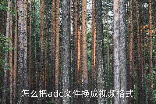 怎么把adc文件换成视频格式