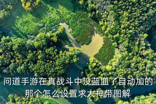 问道手游战斗怎么设置给宝宝加血，问道怎样在战斗中补血