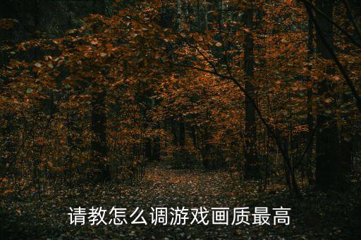请教怎么调游戏画质最高