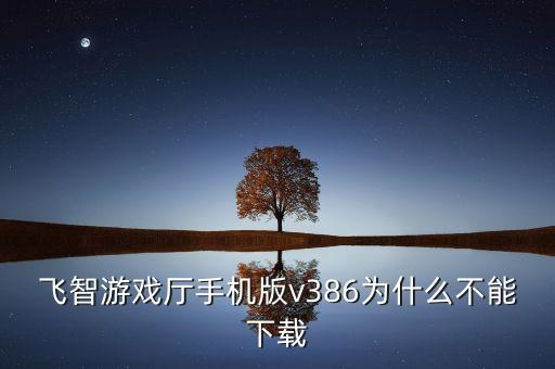 飞智游戏厅手机版v386为什么不能下载