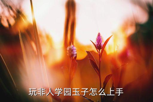 玩非人学园玉子怎么上手