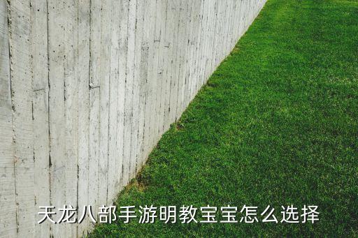 天龙八部手游明教宝宝怎么选择