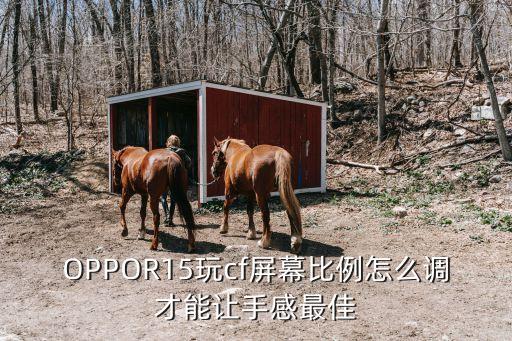 OPPOR15玩cf屏幕比例怎么调才能让手感最佳