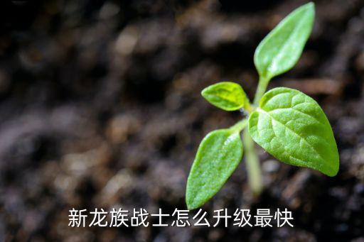 新龙族战士怎么升级最快