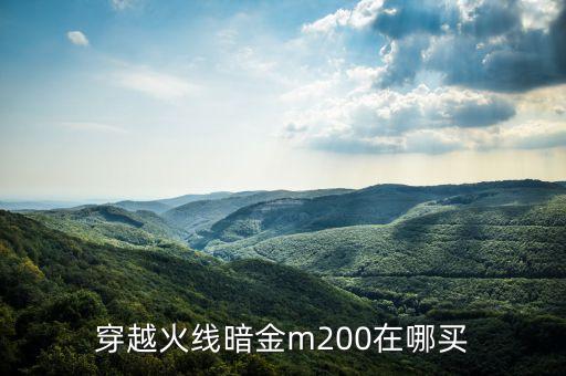 穿越火线暗金m200在哪买