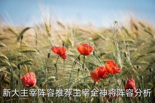 新大主宰阵容推荐主宰全神将阵容分析