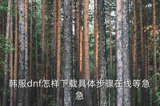 苹果怎么下载dnf韩服手游，地下城怎么下载韩服