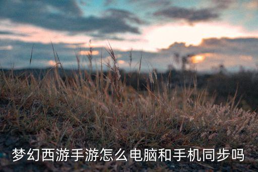 梦幻西游手游怎么电脑和手机同步吗