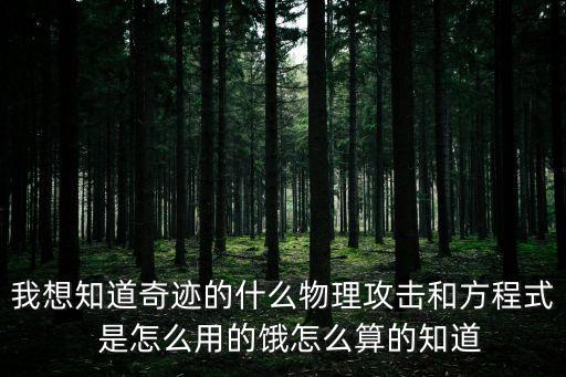 我想知道奇迹的什么物理攻击和方程式  是怎么用的饿怎么算的知道