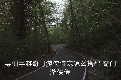 寻仙手游奇门游侠侍宠怎么搭配 奇门游侠侍