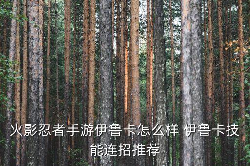 火影忍者手游伊鲁卡怎么样 伊鲁卡技能连招推荐