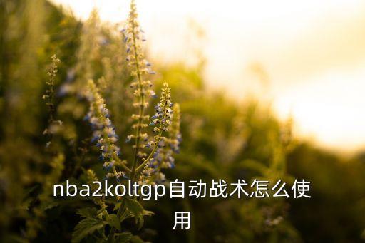 nba2koltgp自动战术怎么使用