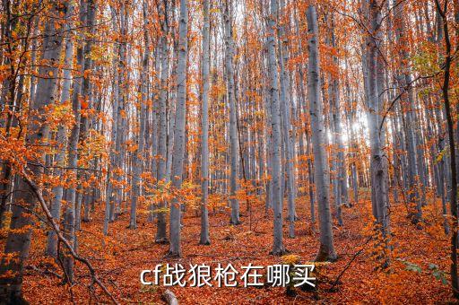 cf战狼枪在哪买
