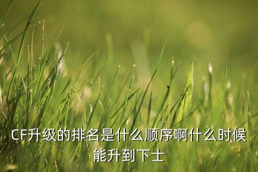 穿越火线手游升级顺序怎么看，CF升级的排名是什么顺序啊什么时候能升到下士