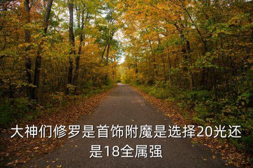 大神们修罗是首饰附魔是选择20光还是18全属强
