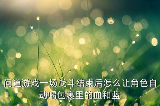 问道游戏一场战斗结束后怎么让角色自动喝包裹里的血和蓝