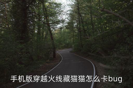 手机版穿越火线藏猫猫怎么卡bug
