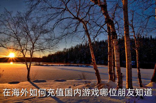 在海外如何充值国内游戏哪位朋友知道