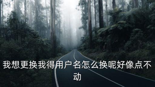 我想更换我得用户名怎么换呢好像点不动