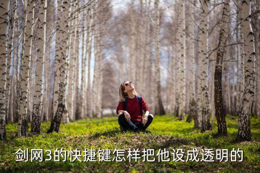 剑网3的快捷键怎样把他设成透明的