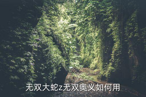 无双大蛇z无双奥义如何用