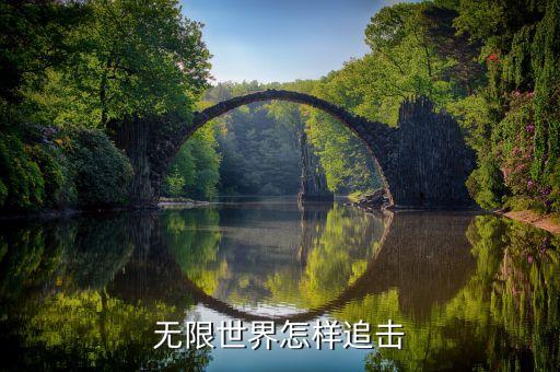 无限世界怎样追击