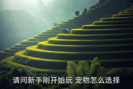 请问新手刚开始玩 宠物怎么选择
